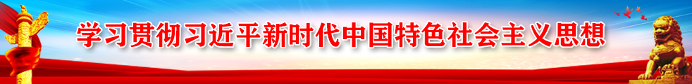 学习贯彻新时代中国特色社会主义思想