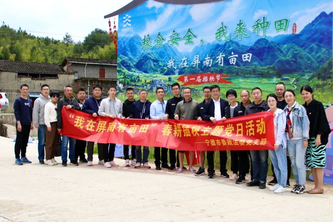 宁德市委政法委开展“我在屏南有亩田”春耕插秧主题党日活动(图1)