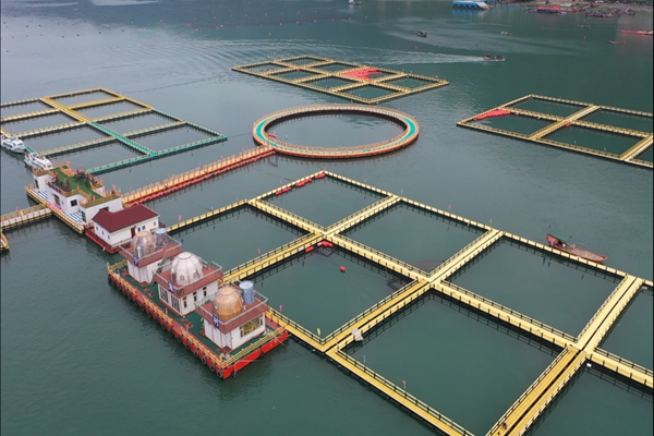 福建宁德：奋力谱写高质量发展新篇章(图8)