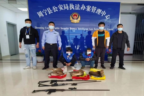 宁德：逐绿而行 筑牢闽东生态屏障(图2)
