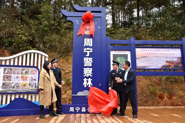 宁德：逐绿而行 筑牢闽东生态屏障(图3)