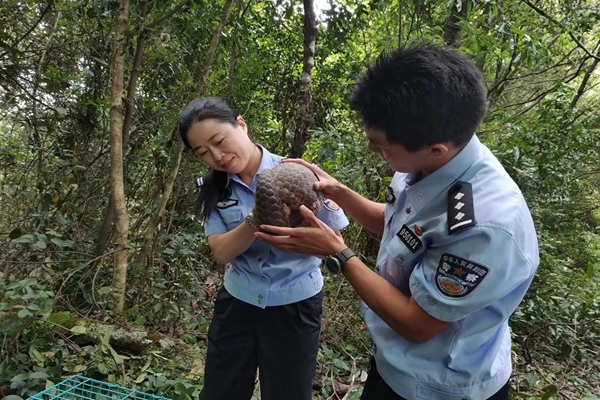 古田县公安局森林警察大队：向绿而生 逐绿前行(图4)