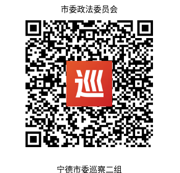 巡 察 公 告(图1)