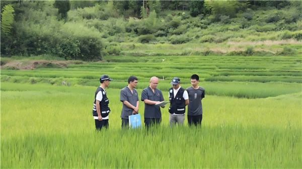 寿宁县人民法院协同共治，守护山城“高颜值”(图1)
