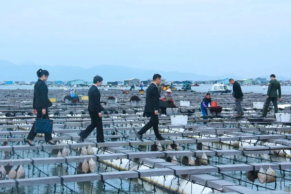 微信图片_20250320103910.jpg