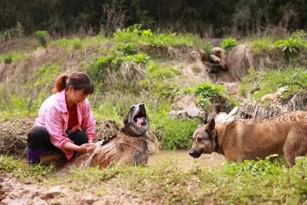 微信图片_20250415104658.jpg
