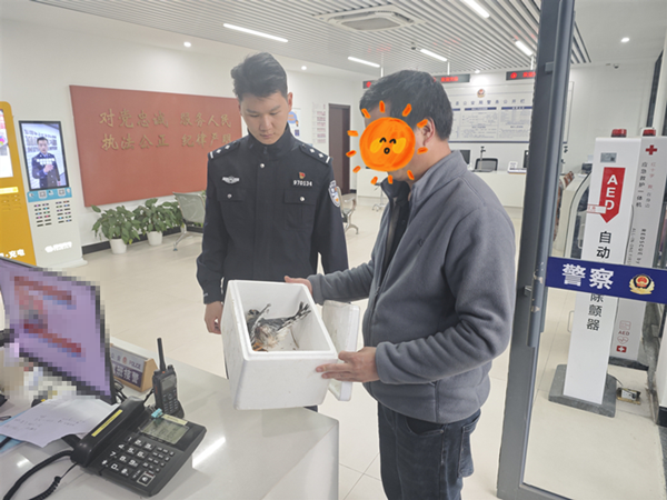 微信图片_20250513154258.png