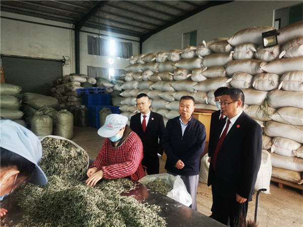 周宁县人民法院开展“千名执行干警进千企”调研活动(图1)