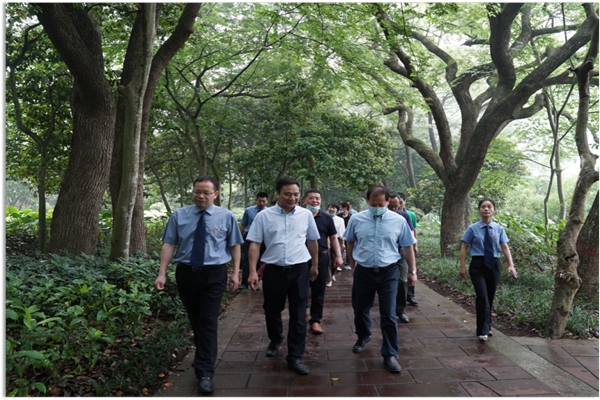 【打造法治强市】绿水青山 全家福安——福安检察古树名木专项保护行动(图1)