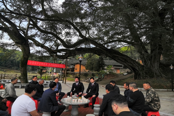 【打造法治强市】绿水青山 全家福安——福安检察古树名木专项保护行动(图4)