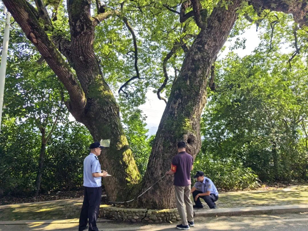 微信图片_20250605104546.jpg
