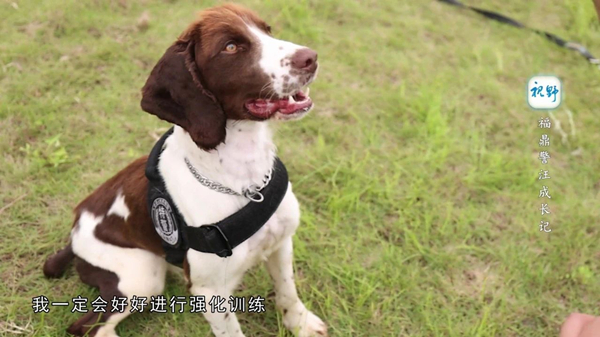 微信图片_20250618163411.jpg