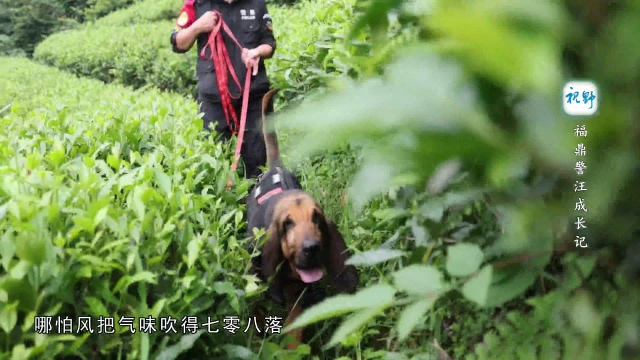 微信图片_20250618163451.jpg