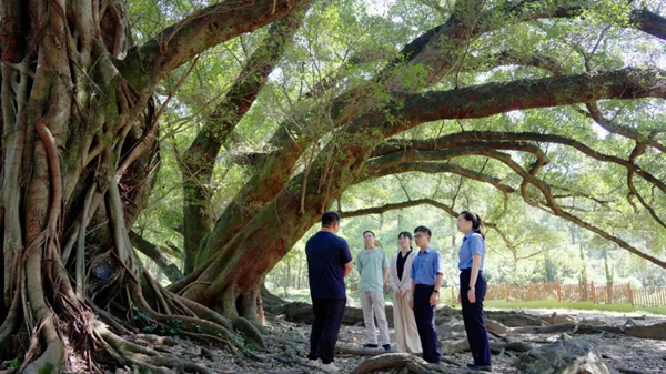 霞浦检察：检护山海万象，共守蓝色家园